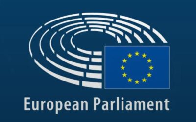 El Parlamento adopta su posición sobre una importante reforma del Código Aduanero de la UE